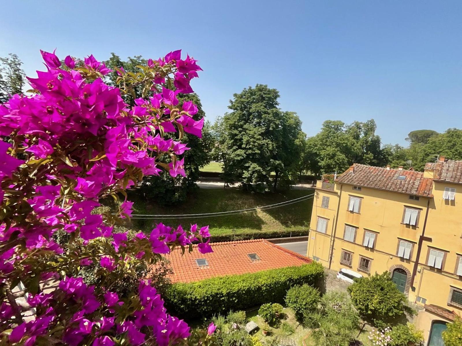 La Terrazza Di Sofia Apartment Lucca Exterior photo
